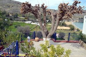 095- Grece Lindos 